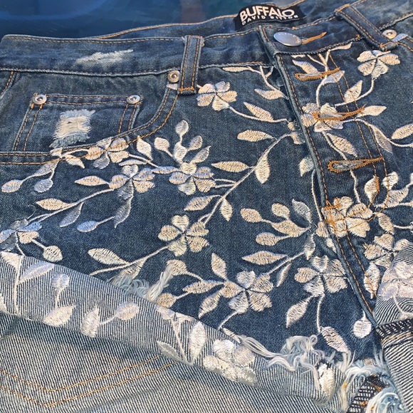 Buffalo 🦬 David Bitton - Picture 6 of 11